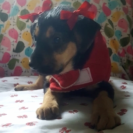 D a36587d2 8656 4622 a172 907d2146b56c