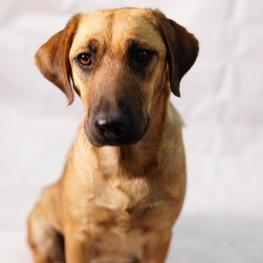 D dd2050b3 614b 41e4 a67b 437b405f55fb