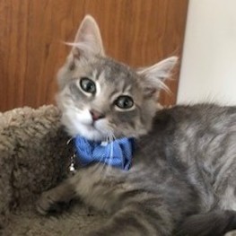 D 0907aee5 fe13 4cc1 88b5 dbcac7a8029b