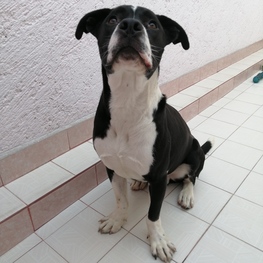 D 5e660ef9 93a4 4da7 89cf 77f23394fc26