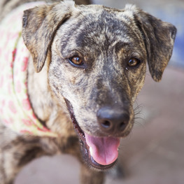 D e2d0e21a 538c 4cb2 a953 6c547c408310