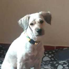 D da5981d4 1e16 4ffb 9f1a 5bbcb834a88b