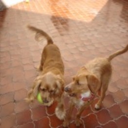 D 23fc0d0b 5f05 4d33 8036 bac79923be0a