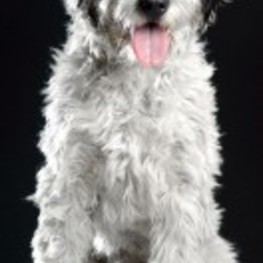 D b054dff7 96ac 4b0a 880f 967ab4d902a7