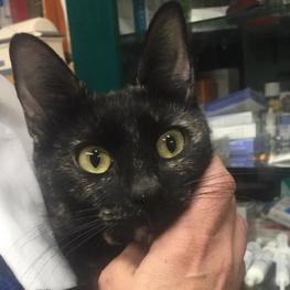 D 8eafa8fc 5cde 4317 9ce0 bc05cd3bf4de