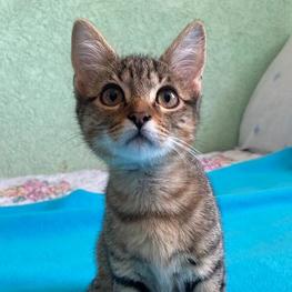 D 558b841e 1624 44e4 abb6 50c25e741839