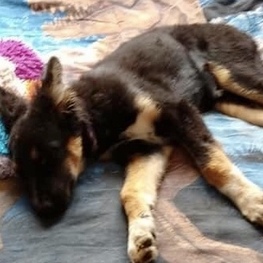 D a0364108 6567 4e1f bdb4 cbe2f15e6578