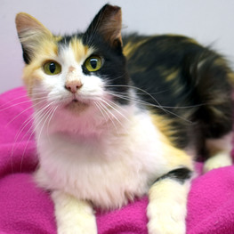 D 0a8efc2d 61c6 495f b1e4 42dd049d78ca