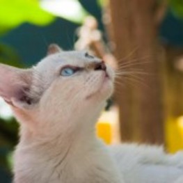 D f6089801 d241 4845 8697 62f85ec251a7