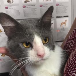 D 106d40f9 7e7e 4044 afcb 0a7d69f5f133