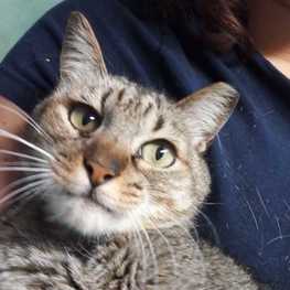 D 647cda8c 03e6 45cf bb7d 399ed9e44c7c