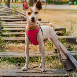 D 0b3e52bb 5edc 4bc8 85bb 3ffc5275746d