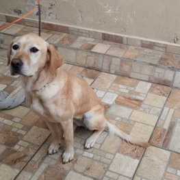 D cb129170 b313 4d23 9306 7cee60398e22