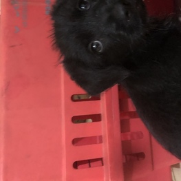 D 488716e0 ddce 4e7b b1a2 9cc094a25667