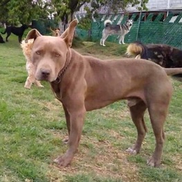 D 70f0cf53 42ad 4912 8a9d baec6ed2f31a