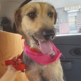 D 988e7685 c023 426c 8962 072866315563