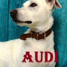 D bd213129 6e85 40e3 b982 d4a46bfa6cae