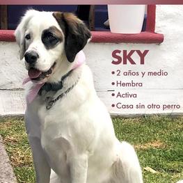 D ab7143d1 12d4 4643 a9e5 5fcd8e178fa2