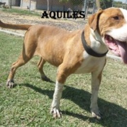 D 1b668c83 a99f 4e62 8b4f 512dd7667fd8