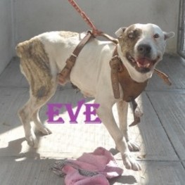 D feba3bd2 452c 4851 822d 953732e6d171