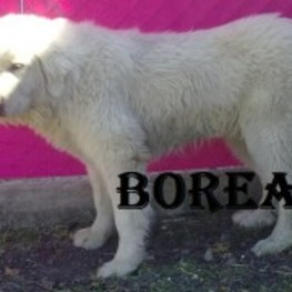 D e454a29d 7b95 496a a93a 685d184b8beb