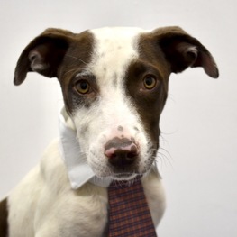 D fb991e04 b076 4895 baf7 a27bca6e0ed4