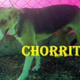 D d5ca6e8f 73f8 46f7 b6c4 d405c53ffca0