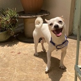 D 99d9c4a3 da06 4cc5 a3d5 556d8319724b