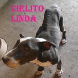 D 90930651 baa9 4ab9 aca3 83797765d44f