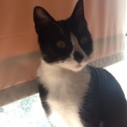 D 60fb2757 4464 4123 8a44 5e1f3f021d09