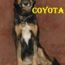 D 60e1409e c3cd 4132 b0e8 fc2807414314