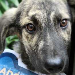 D b95ddbe4 3276 49ee 889e dc680f9149ca