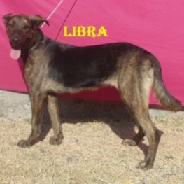 D 1c36a9ad 13cc 4483 a622 e6fa5980f210