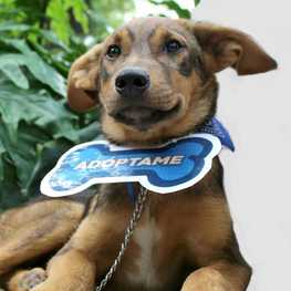 D 56d42032 418a 40e1 aaca 17ecea42fe60