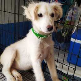 D 9589c70c aa21 49bd bdd7 5e20d8e309be