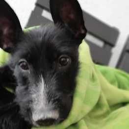 D 77cd61fe 5fd7 43aa a9e6 ba7e90c107f6