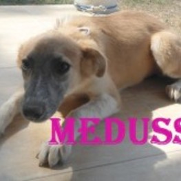 D b0a98e6e cd84 43c3 95db 87c73b49f7a5