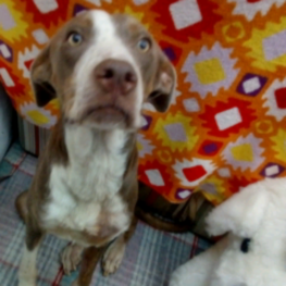 D a501e545 bec7 4d86 b3ec 851b3a8b86c4