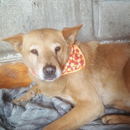 D f5de7260 1fba 4eec 81b3 7ac7c48a9ee7