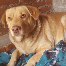 D 45589ce6 5fde 4697 9f37 c8f0008f5402