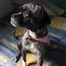 D 0b5460a0 6667 4536 9698 2279d346238d