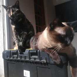 D ffc87258 def3 4d4c 9662 b75b6831a12a