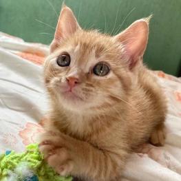 D 9328604f 25c5 477c 99ef c26e621ad24e