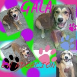 D 1dc6a11c 62de 4736 8d24 99cb37f5683c