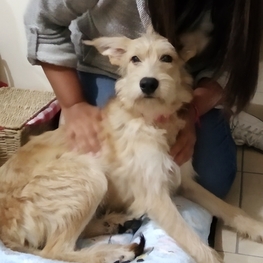 D d93f4750 4c61 4359 84b4 f4e4e94156ee