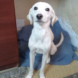 D aad6f62e 9538 48c4 a7eb e47d29f30dc3