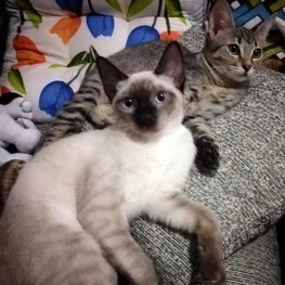 D c6f90ab4 ed50 4f20 bb53 07de2dc401b3