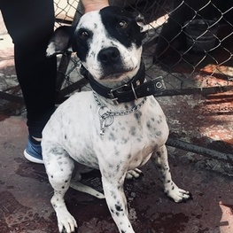 D 6b719919 4cf3 4200 a9ec 0b9a275ba9f7