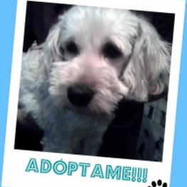 D 24513c51 3d9a 480f a52f 53baa1cb12b7