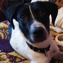 D ae540690 db58 462b 957c fdf4c05efc4a